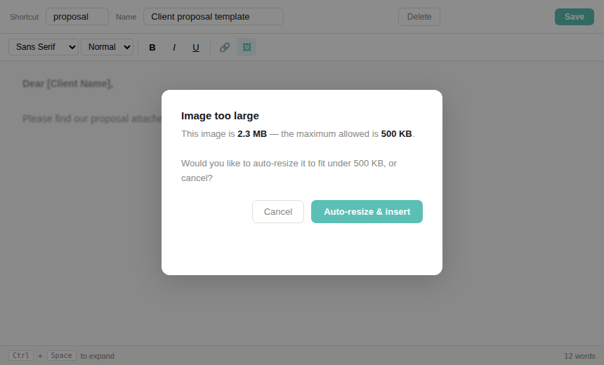 Image size limit warning in Typsnip